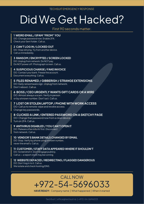 Navy & Gold preview